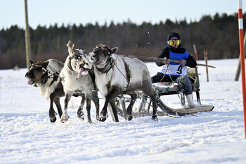 �������