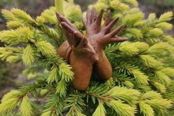 �������